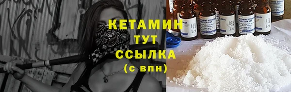 прущие крисы Бородино