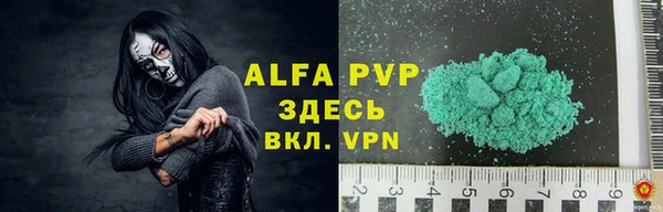 прущие крисы Бородино