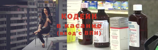 прущие крисы Бородино