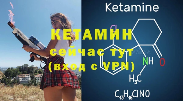прущие крисы Бородино
