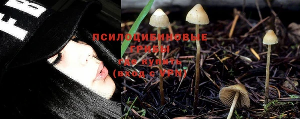 винт Бронницы