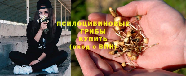 скорость Бугульма